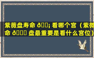 紫薇盘寿命 🐡 看哪个宫（紫微命 🐛 盘最重要是看什么宫位）